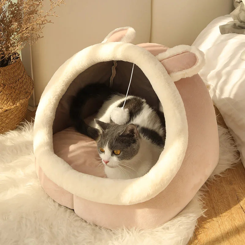 FurHaven