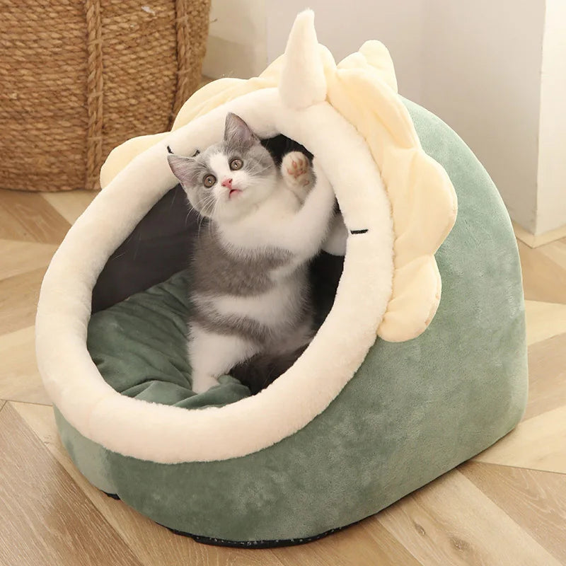 FurHaven